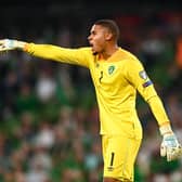 Republic of Ireland goalkeeper Gavin Bazunu has said that he is "open to everything" when speaking about the next move in his career. PIC: Sportsfile