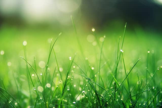 CARLOW WEATHER: Mixed bag this weekend with outbreaks of rain expected