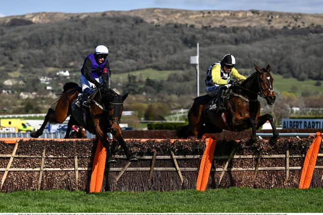Trainer Willie Mullins also spoke after the race: "What a ride from Sean, he rode Galopin Des Champs last year here for me, he’s an up-and-coming rider, he’s very cool.