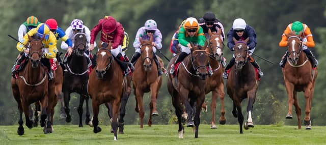 A general view of The Irish Stallion Farms EBF Fillies Maiden. Picture: ©INPHO/Morgan Treacy