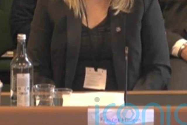She also said the Government should order an independent review of the Data Protection Commission.