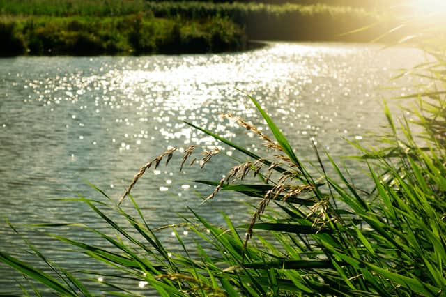 Recent reports show the effects of climate change are becoming more noticeable in our local rivers