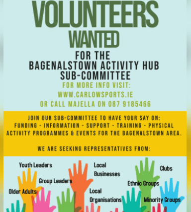 The Bagenalstown Activity Hub subcommittee will be overseen by the current Bagenalstown Steering Group which comprise of the following members: John Murphy, Paddy Gardiner, Colin Rea, Keara O’ Dea &amp; Carol Clarke. Furthermore, Carol Clarke will act as a representative from the main steering group and will sit on the Hub subcommittee.