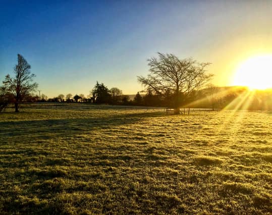 Weather forecast for Ireland for the coming week from Met Eireann