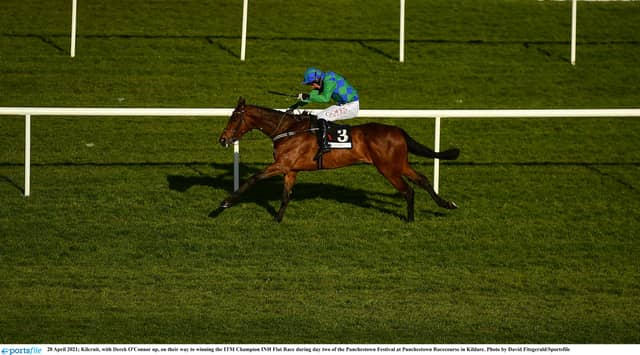 The Leopardstown accumulator that could win you a small fortune today