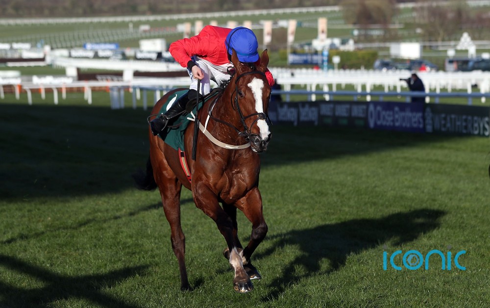 Willie Mullins to unleash superstars at Leopardstown over next few days