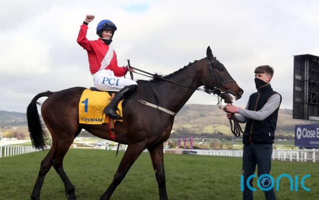 Cheltenham winner heads Willie Mullins John Durkan contingent at Punchestown