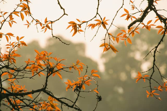 Met Éireann give glimmer of hope in forecast for this week