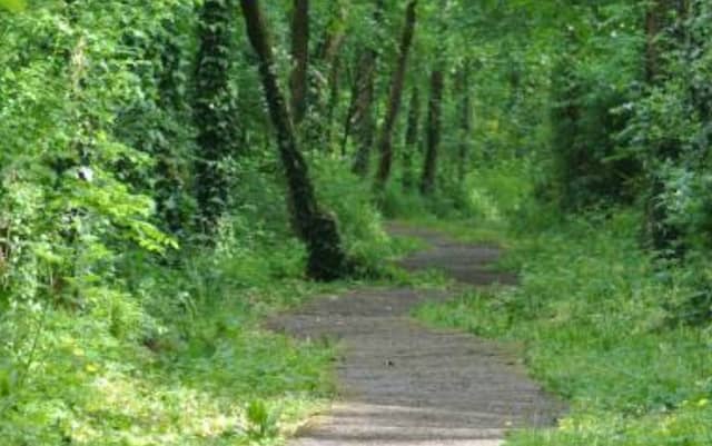 Local TD welcomes €100,000 funding for outdoor activity projects in Carlow (Image: Getty Images)