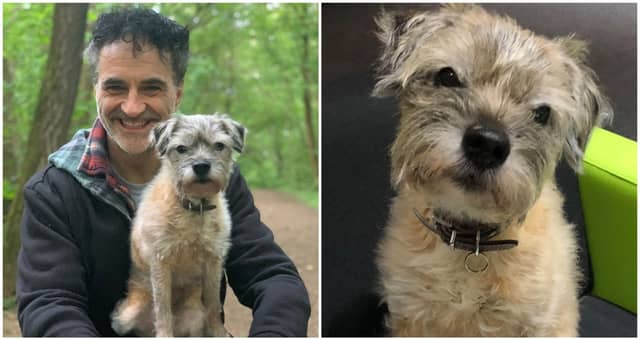 Irish supervet heartbroken over loss of 'beloved companion' Keira
