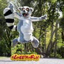 Eagle Athletic Club to run the 2021 Cheetah Run virtually to raise funds for Fota Wildlife Park
