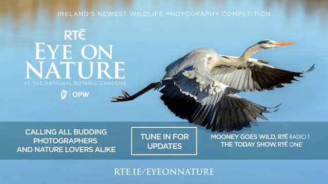 RTÉ has launched the Eye On Nature photography competition