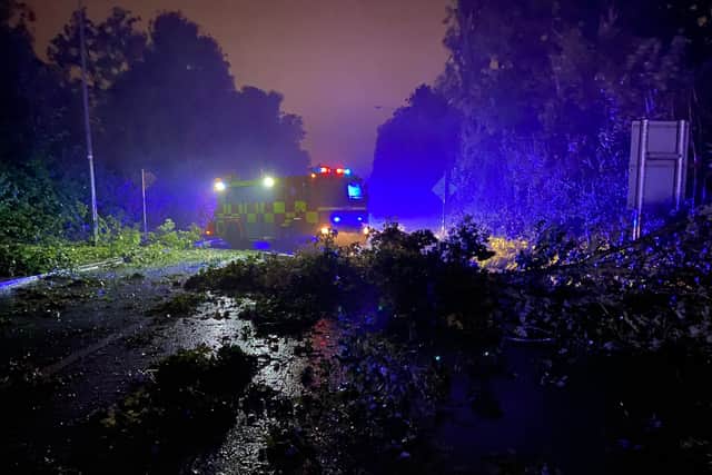 While emergency services, including crews from Limerick Fire and Rescue, attended the scene no injuries were reported and the tree was quickly removed from the vehicle.