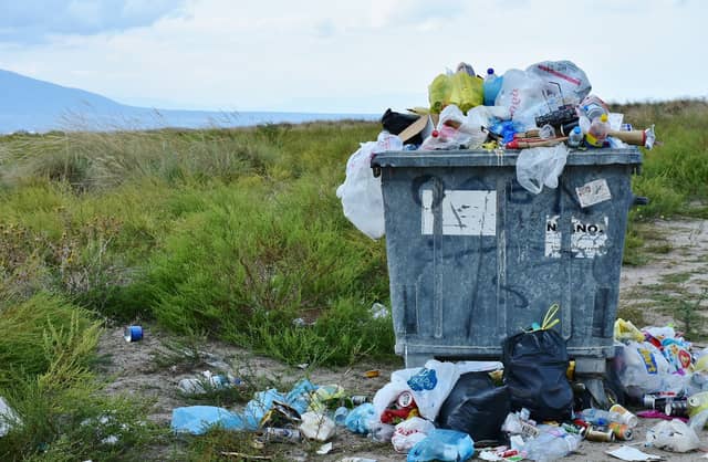 Carlow County Council striving to eliminate roadside litter. Stock photo