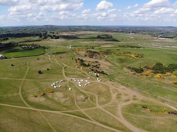 The main encampment on the Curragh on Monday of this week. Photo: Stephen Maher (stephenmaher@outlook.com)