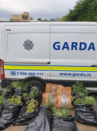 Gardaí recovered 5kgs of cannabis herb along with 80 cannabis plants