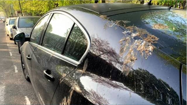 How fake bird dirt protects your car's paintwork in the real world