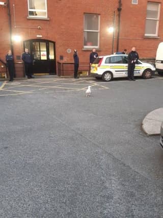 CREDIT: An Garda Síochana