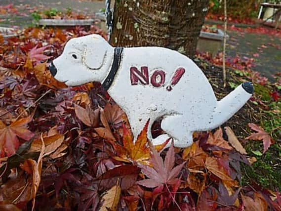 No to dog fouling! File photo via Pixabay