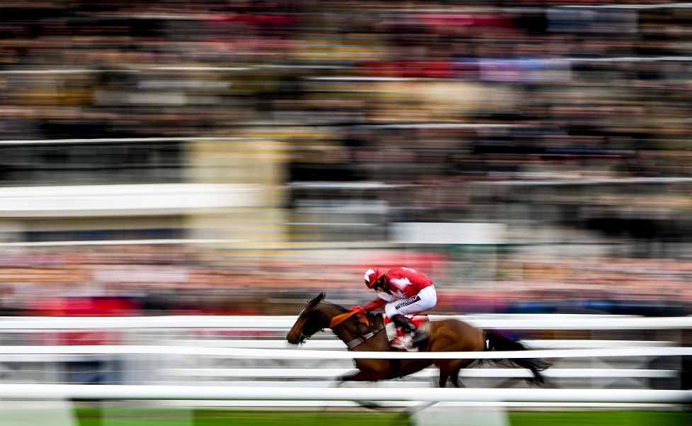 Cheltenham Festival Tips