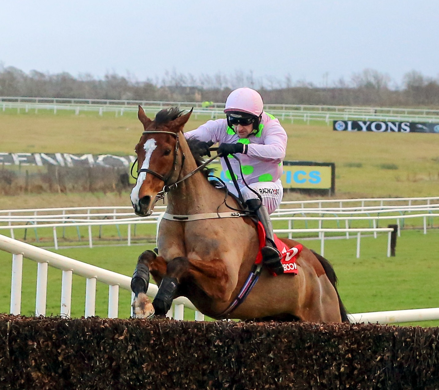 Faugheen, ridden by Patrick Mullins, jump the last fence on their way to landing the Grade 1 €100,000 Matchbook Betting Exchange Novice Chase at Limerick Racecourse on St Stephen's Day