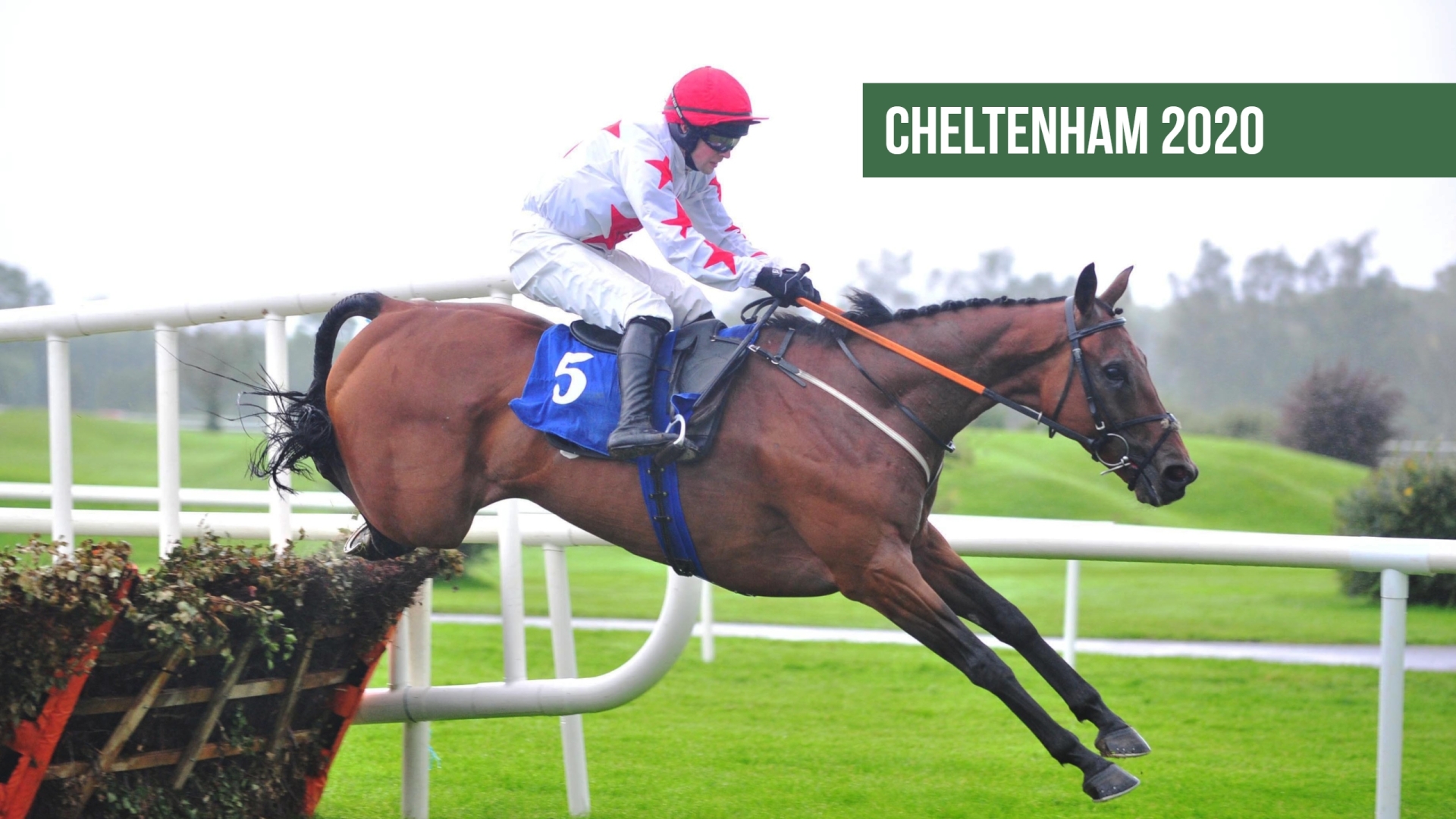 Cheltenham Tips: The horses to back on Day 1 of Cheltenham 2020
