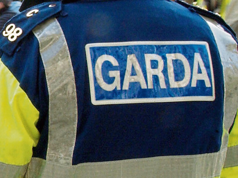 Gardaí are investigating an alleged sexual assault on the outskirts of Limerick city