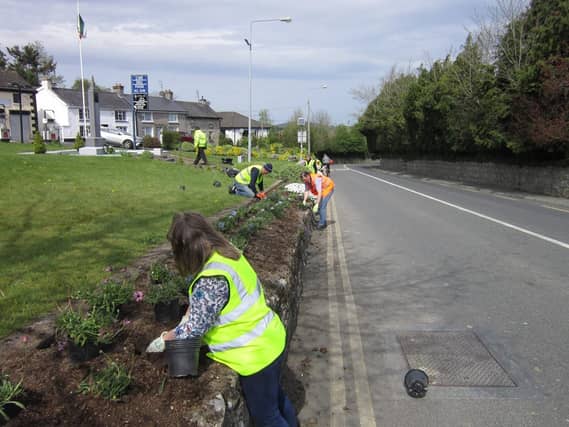 CREDIT: Rathvilly Tidy Towns