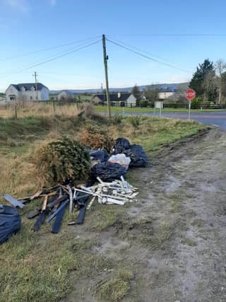 CREDIT: Carlow County Council
