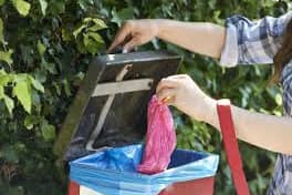 Nearly €15,000 allocated to Carlow County Council for dog waste scheme