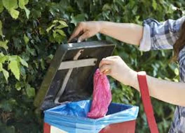 Nearly €15,000 allocated to Carlow County Council for dog waste scheme