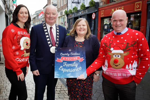 Helen Ryan, Economic Development Officer, Cathaoirleach, Cllr John Pender, Chief Executive of the Council, Kathleen Holohan, Pierce Kavanagh, Economic Development Officer