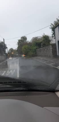 A fallen tree near Tullow Community School which has since been cleared