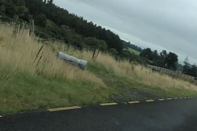 The mattress was rolled up and thrown along the R445 between Kildare Town and the Curragh Racecourse. 