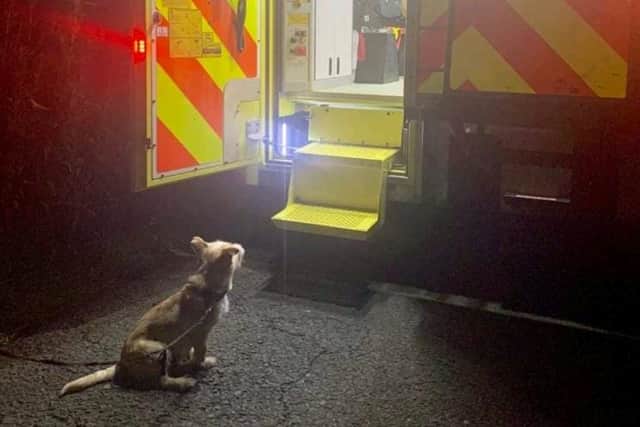 Below: Gardaí photographed Jack waiting worriedly as Pat is treated in the ambulance.