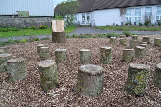 Beautifully simple outdoor classroom made from logs to take classes outside as much as possible (CREDIT: Biodiversity in Schools)
