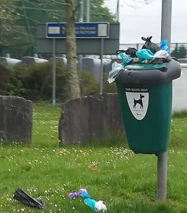 The Green Road bin overflowing recently CREDIT: Cllr Fergal Browne