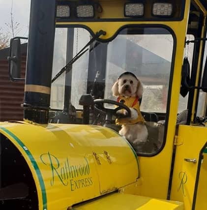 Mr Bailey drives the Rathwood Express