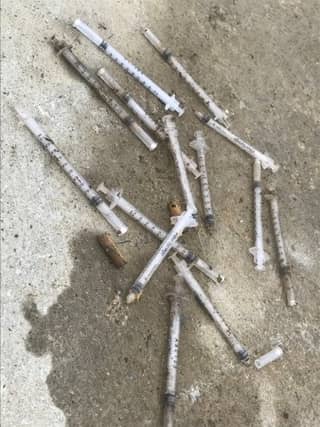 A picture of the needles found