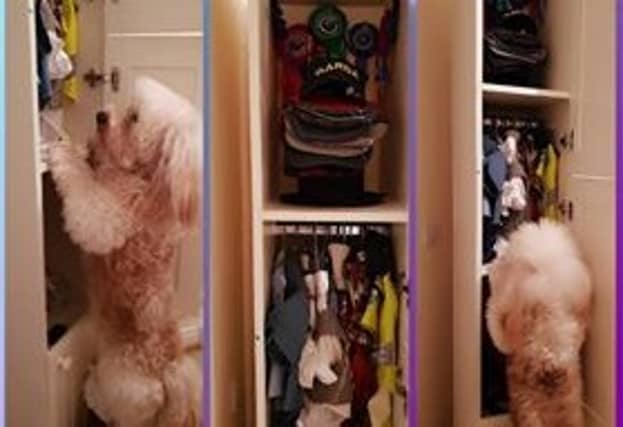 Mr Bailey has a look in hew new wardrobe