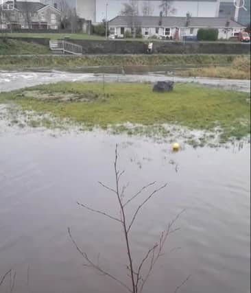 River Burrin in Carlow Town (Credit: Eugene Walsh)