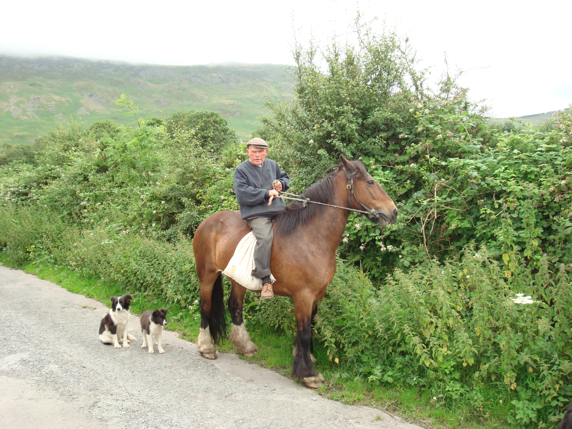 The late Jim Murphy of Knock, Knockymullgurry, Ballymurphy, Co Carlow on his way to feed livestock on Blackstairs Mountain