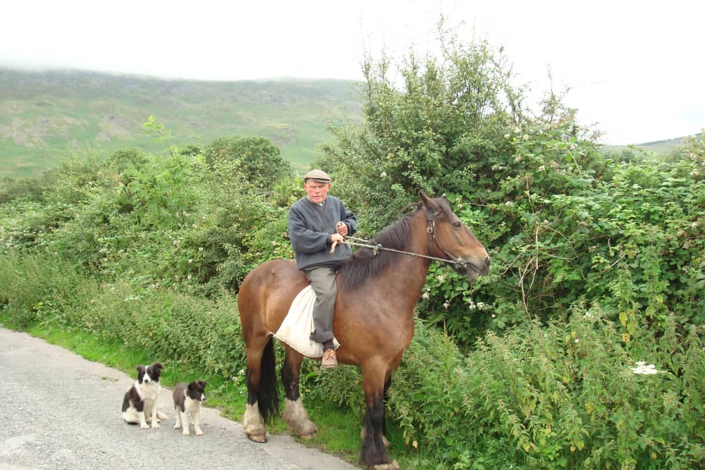 The late Jim Murphy of Knock, Knockymullgurry, Ballymurphy, Co Carlow on his way to feed livestock on Blackstairs Mountain