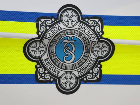 Garda badge on a police car