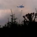 Slievenamon wildfire