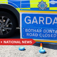 Woman in her 70s dies after being hit by car as Gardaí appeal for witnesses
