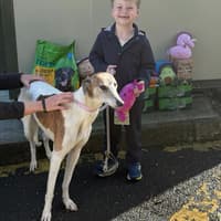 'You are a little star' - Young boy kindly brings treats and toys to Carlow shelter