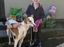Young boy Toby delivers goodies for the dogs at Carlow shelter