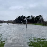 'Flooding, fallen trees' likley in Carlow as yellow weather warning comes into effect