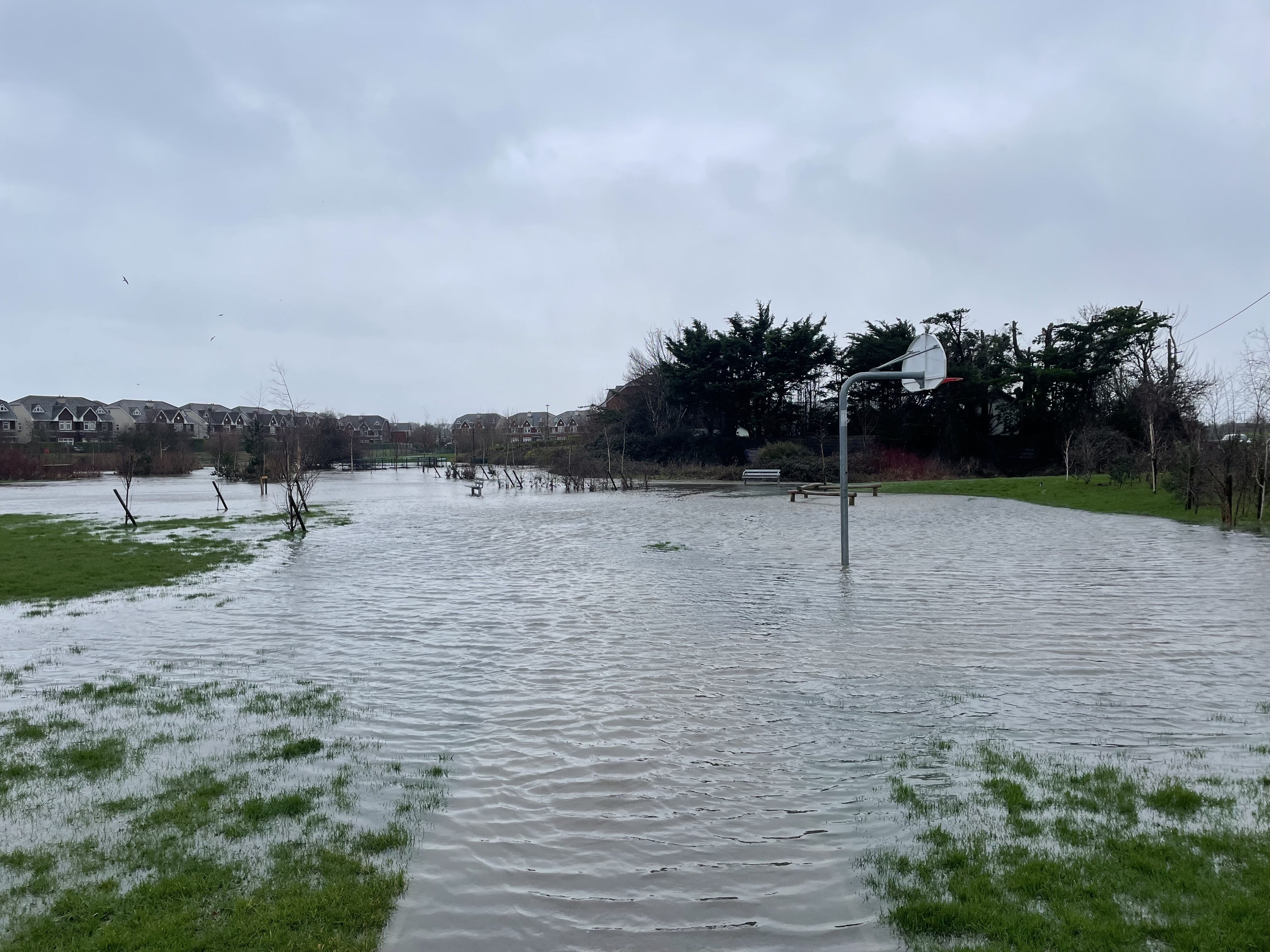 'Flooding, fallen trees' likley in Carlow as yellow weather warning ...
